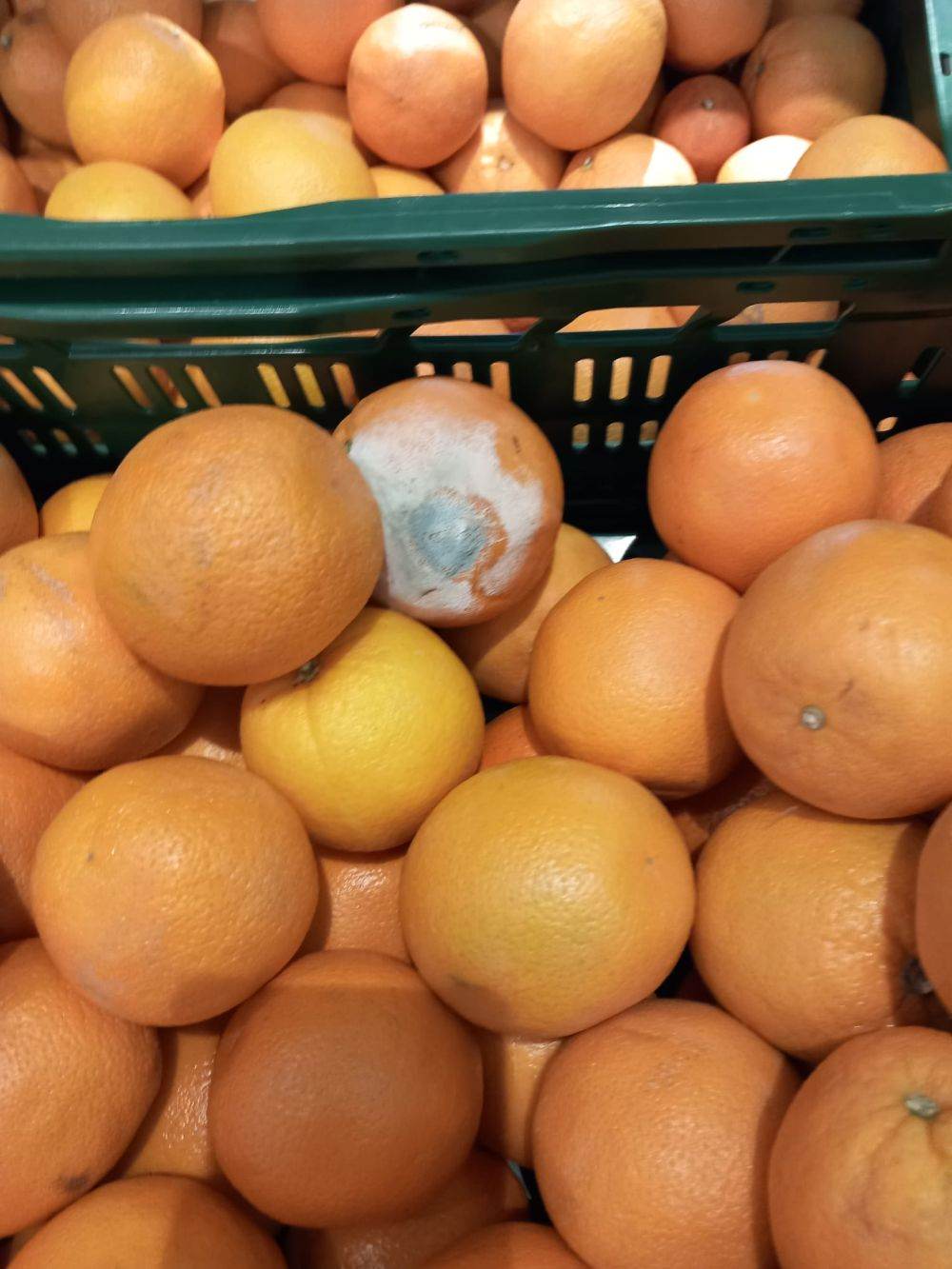 ANPC a aplicat amenzi de 1,43 milioane de lei în urma controalelor efectuate la peste 450 de operatori economici